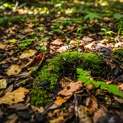 Imagen PNG para descargar